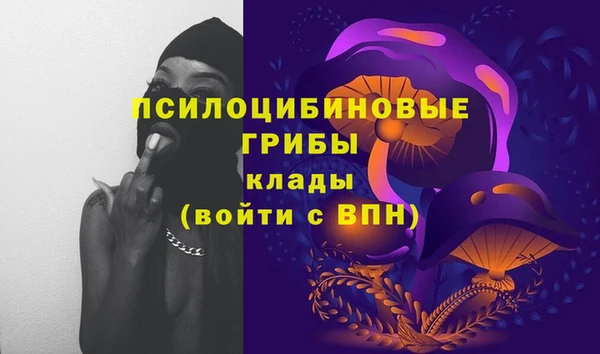 гашик Михайлов