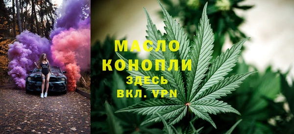 твердый Медногорск