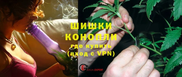 гашик Михайлов