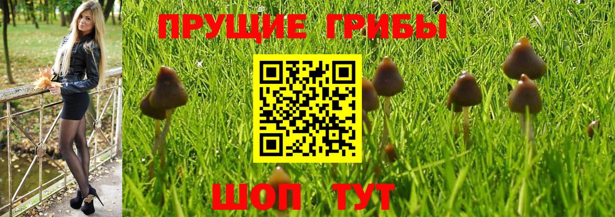 Галлюциногенные грибы ЛСД Ишим