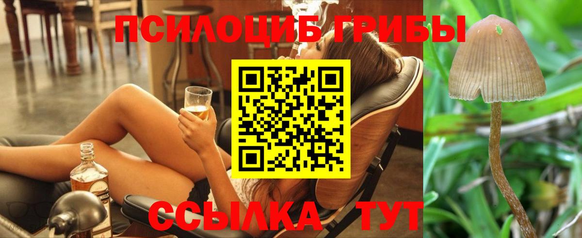 Псилоцибиновые грибы GOLDEN TEACHER  Вход с VPN  Ишим 